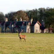 Norfolk Pub Named Among UK's Best: A Royal-Approved Coastal Retreat