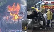 NSW Bushfires: 16 Homes Destroyed, Disaster Declared as Fires Threaten to Spread