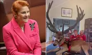 Pauline Hanson Hosts Live Reindeer in Lounge for Christmas Instagram Video