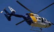 Preschool Boy Airlifted After Dog Attack on NSW Central Coast