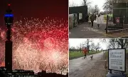 Primrose Hill Locked for New Year's Eve After 30,000 Crowd & Safety Fears