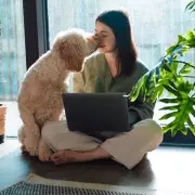 Remote Workers Share Simple Fixes for Demanding Pets at Home