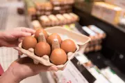 Salmonella Outbreak: Over 60 Sick, 13 Hospitalised in California Egg Recall
