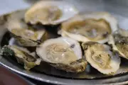 Salmonella Outbreak: Over 60 Sick in 22 US States From Raw Oysters