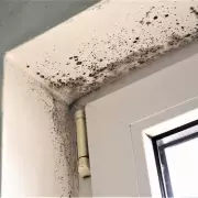 Scandinavian Winter Habit Fights Mould for Free: Open Your Windows