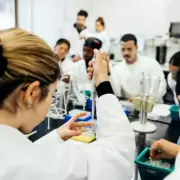 Scientists Find 'Dangerous' Virus in Arctic Whales, Risking Ecosystem Collapse