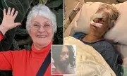 Seattle elderly woman, 75, blinded in brutal daylight attack by repeat offender