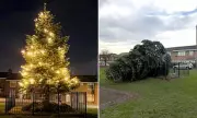 Shotton Colliery's Christmas tree restored after vandal's chainsaw attack