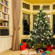 Simple Christmas Wrapping Hack Stuns Fans: Swap Paper for a Bag