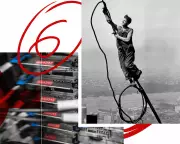 Six Essential Weekend Reads: AI's Trillion-Dollar Race & Wallaby Hunts