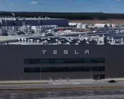 Tesla's European Sales Plunge 34% as BYD Soars in November