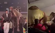 Texas Megachurch Camel Attack: Woman Hospitalised After Christmas Show Incident