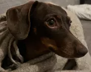 The Guardian's Thursday Quiz: Test Your Knowledge on 2025's Top News