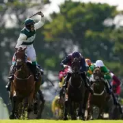 Tragic Loss: Galway Hurdle Winner Nurburgring Dies After Leopardstown Fall