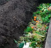 Trench Composting: The Ancient, No-Effort Method to Supercharge Your Garden