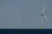 Trump Halts Five Major East Coast Offshore Wind Farms Over Security Fears