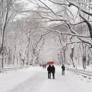 UK Braces for 30cm Snow & Gale Force Winds as Met Office Issues Severe Warning