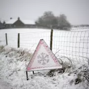 UK Christmas Snow Forecast: Met Office and BBC Predict Calm but Frosty Festive Period