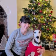 UK Dog Owners to Spend £293 Million on Canine Christmas Gifts