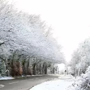 UK Snow Maps Reveal 5-Inch Blast and -8C Freeze for January 7