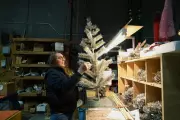 US Christmas Tree Tariffs Push Prices Up 15% as Production Stays Overseas