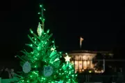 US Federal Holidays 2025: Workers Get Extra Christmas Leave