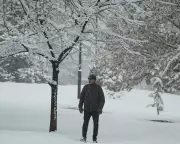 US Winter Storms: Heavy Snow Blankets States, Disrupting Travel