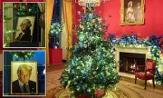 White House Christmas 2025: Trump's Lego Portrait and 10,000 Butterflies