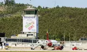 Wild Boar Invasion Halts Flights at Spanish Airport, Causing Chaos