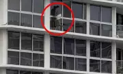 Woman's 16th-Floor Window Cleaning Stunt on Gold Coast Labelled 'Crazy'