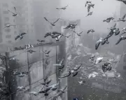 Zelenskyy Meets Macron in Paris Amid Intense Diplomacy to End Ukraine War