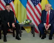 Zelenskyy to Meet Trump in Days as US Intensifies Push for Ukraine Peace Deal
