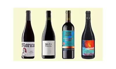 Beyond Rioja: Discover Spain's Diverse Red Wine Regions