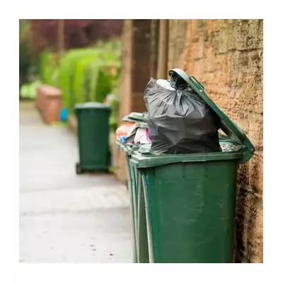 Bin Man's Simple Tip: Number Your Bins to End Collection Chaos