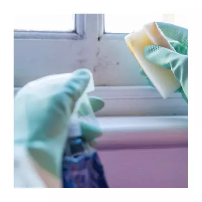 B&Q's 35p Mould Removal Hack: Expert Tips for Walls, Fabric & Furniture