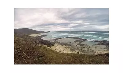 Canadian Tourist, 19, Found Dead Near Dingoes on K'gari Island