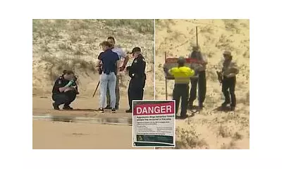 Canadian Woman Found Dead on K'gari Beach, Dingo Attack Suspected