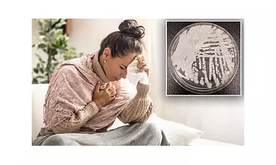 Candida Auris: Deadly Fungus Surges 7000% in US Hospitals, Mimics Cancer