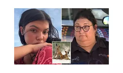 Family and Indigenous Group Oppose Dingo Cull After Backpacker's Death on K'gari