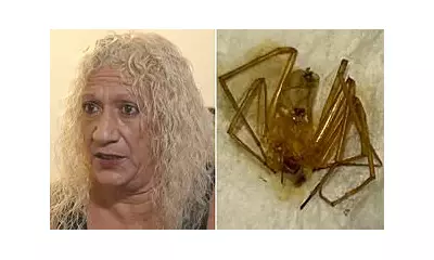Florida Woman Sues Apartment Complex After Spider Bites Lead To Toe Amputation