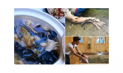 From Snail Syrup to Mummy Powder: 7 Bizarre Historical Remedies Still Used Today