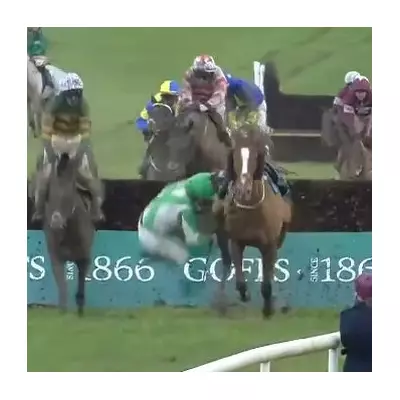 Heartbreak for Cleary-Farrell as Last Fence Fall Costs Thyestes Chase Glory