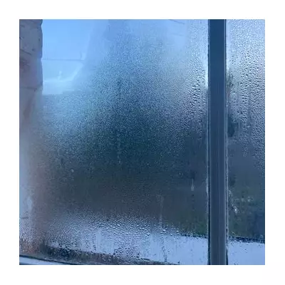 I Bought a £40 Gadget That Clears Window Condensation in Seconds