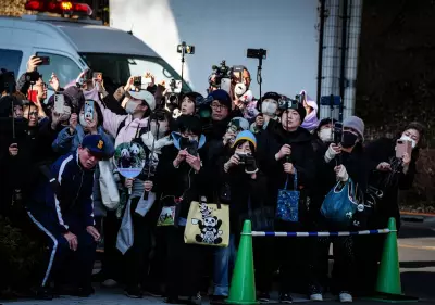 Japan's Last Pandas Depart for China as Diplomatic Ties Cool