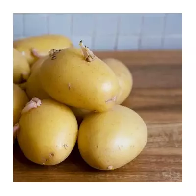 Keep Potatoes Fresh for 8 Weeks: The Simple Cardboard Box Trick