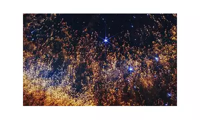 NASA's James Webb Telescope Reveals Our Sun's Fiery Fate in Five Billion Years