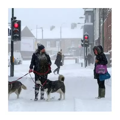 New 'Beast from the East' Could Hit UK with 10 Days of Snow from January 21