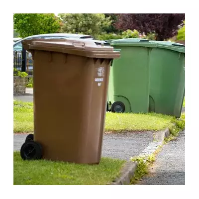 New Four-Bin Recycling Rules Start March 31: Avoid £400 Fines for 37 Banned Items