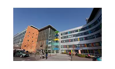 NHS Staff Unaware of Hygiene Steps for Deadly C. Diff Bug, Survey Reveals