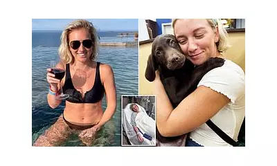 Pittsburgh Dog Electrocution: Woman and Pet Shocked on Wet Sidewalk